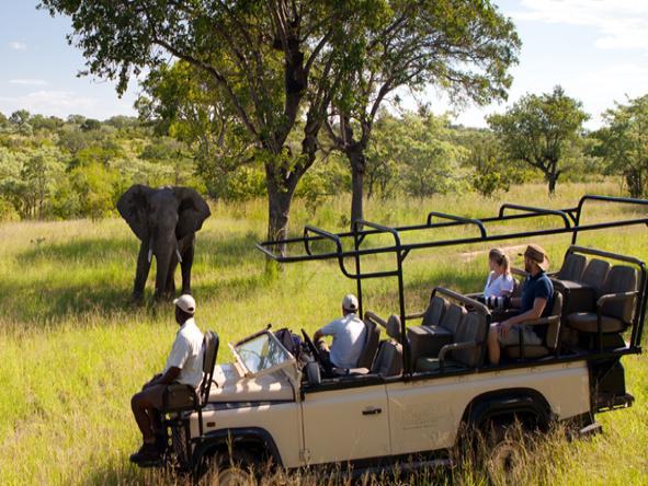 Ulusaba Safari Lodge - Game Drive 